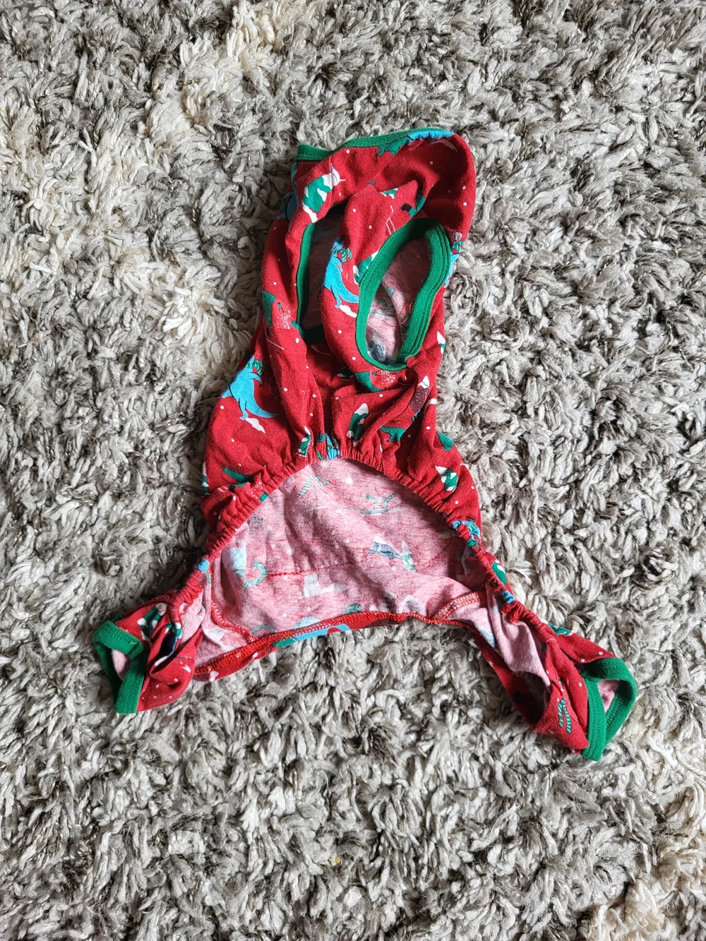 Red Dragon Print Dog Pajamas with Green Trim